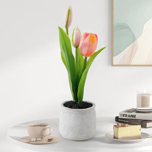 Buy The Better Home Artificial Flowers for Decoration with Wooden Pot