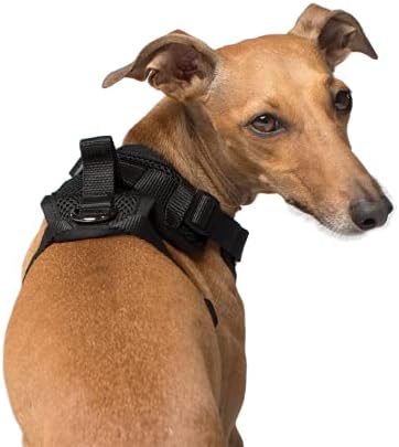 canada pooch harness medium