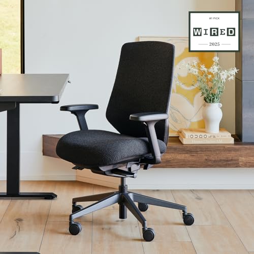 branch ergonomic chair pro