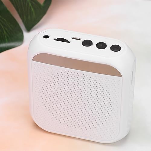 Toyvian 3 Pcs Mini Pa Professor Amplificador De Voz Alto-Falante Pessoal Amplificador De Voz Alto-Fa