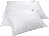 Elaine Karen 2-Pack Vinyl Pillow Protectors - Standard Size Zippered Pillow Covers - 100% Waterproof, Bedbug Proof - Washable and Reusable Pillow Encasement Covers