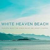 Masterbox Distribution