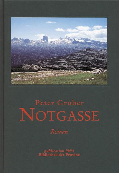 Notgasse: Roman
