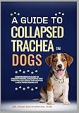 A Guide to Collapsed Trachea In Dogs: Comprehensive Guide to Understanding, Diagnosing and Treating Collapsed Trachea for a Healthier Canine Life