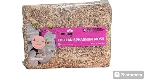 Musgo esfagno para orquídeas, importado do Chile, seco, tratado e prensado. Pct. 1 KG. equivale a 80