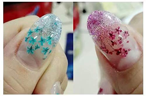 Heqian Fiori veri per unghie Adesivi per unghie 3D...