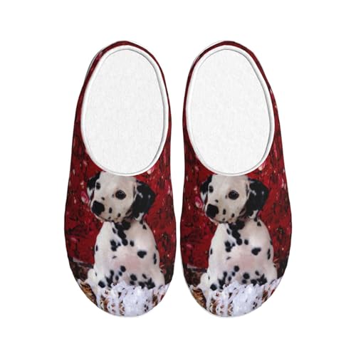 Pantoufles dalmatien EdWal d'hiver chaudes et antidérapantes pour hommes et femmes