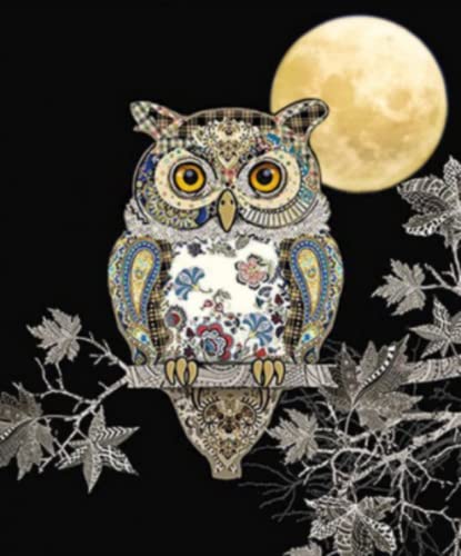 Peinture au diamant 5D hibou complet strass broderie 30x40 cm