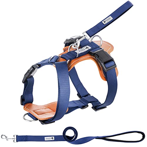 Top 10 Best Leather Small Dog Harness Reviews & Buying Guide Katynel