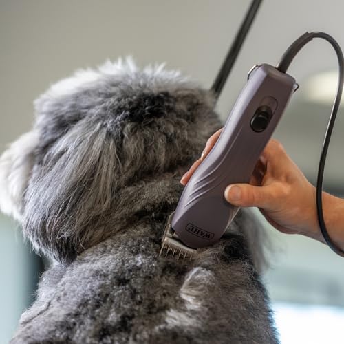 Agrarzone Edition Wahl KM10+ Hundeschermaschine mit Aufsteckkamm-Set - Profi Schermaschine Hund & Katze - Für Groomer & Tierärzte - Leise & vibrationsarm