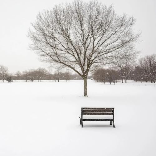 Grow Wild - Estaciones - Invierno. D&iacute;a 3: Descansar.