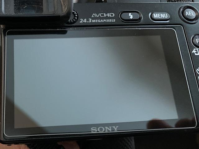 Review Image by RoyS