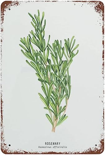 Letrero de metal vintage con diseño de romero y hierbas, póster educativo de estaño divertido para decoración de pared, cocina, bar, club, garaje, jardín, hogar, 12 x 18 pulgadas