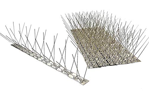 Taubenspikes 04 32 Le Meilleur Prix Dans Amazon Savemoney Es