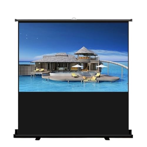 Pantalla portátil de proyección 60 pulgadas con soporte