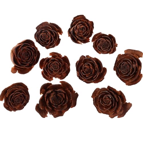 Flores Secas Naturales Piñas y Conos 10 Pzas para Manualidades miniatura 1