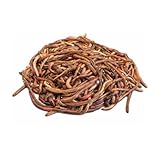 Nordwurm | Kompostwürmer 0,5 kg
