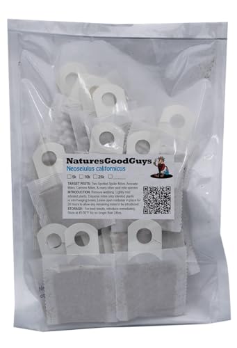 Neoseiulus californicus 25 sachets with 250 Mites
