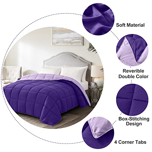 Image of Homelike Moment Oversized Queen Comforter - Purple Lightweight Down Alternative Bedding Comforters, All Season Duvet Insert Quilted Reversible Bed Comforter Soft Cozy Oversize Queen Plum /Light Purple