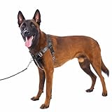 APDEXY Freedom No Pull Harness for Large Dog, Front Clip, Designed for Hounds Train, Easy Walk, Dog Friendly with 2 Stainless D-Rings, Comfortable, Sewn-in Instructions Tags for Easy Use (Black, L)