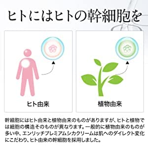 Amazon | 【ヒト幹細胞 クリーム】セルメソッド エンリッチプレミアム