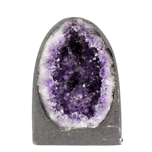 �y�����V�R�΁z3.6Kg �A���W�X�g�h�[�� �E���O�A�C�Y 174-2201