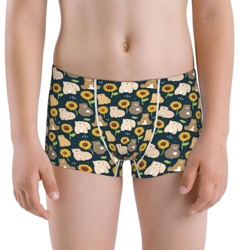 Boys' Cotton Boxer Brief Soft Underwear-Bear Sunflower