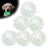 petizer 2.5 Inch 6 Pack Glowing Squeaky Ball for Dogs - Durable Rubber Spiky Balls for Small Dog, Bouncy Glow in the Dark Fetching Balls Indoors & Outdoors, Puppy Teething Chew & Training Toys