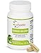 Produktbild Vihado Ginkgo Biloba Kapseln  hochdosierter Ginko Extrakt + Pantothensäure für normale geistige Leistung  vielseitiges Nahrungsergänzungsmittel  natürlich und vegan  90 Kapseln