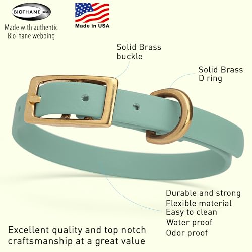 Image of Viper Biothane Heavy Duty Waterproof Dog Collar Strong Coated Nylon Webbing w /Solid Brass Hardware Odor-Proof Easy to Clean High Performance Fits Small Medium or Large Dogs, Sage Green