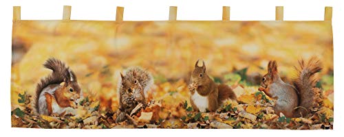 Raebel OHG Scheibengardine 45x120 cm Herbst Eichhörnchen Panneau...