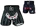 Islero Muay Thai Shorts Fight MMA Kickboxen Shorts Grappling Martial Arts Gear UFC Cage Fighting Shorts Herren Kleidung, blau, XL