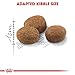 Royal Canin Regular STERILISED 7+ | Doppelpack | 2 x 400 g | Alleinfuttermittel für kastrierte Katzen | Kann dazu beitragen die Nieren- und Harnwegsfunktion zu unterstützen