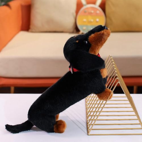 Peluche teckel cadeau anniversaire idéal pour petits et grands