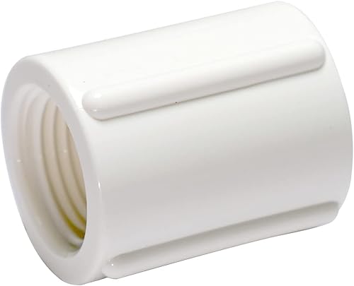 Rainbow Dream Adaptador de acoplamiento hembra de PVC de 1 pulgada rosca hembra x hembra BSPT - 10 paquetes color blanco