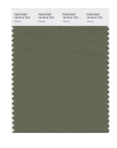 PANTONE Smart 18-0316X Color Swatch Card, Olivine