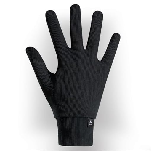 Odlo Unisex ACTIVE WARM ECO Handschuhe, Black, L