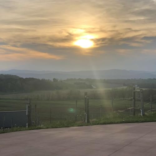 Episode 2 (Lee Hartman, Bluestone Vineyards - Part 2)