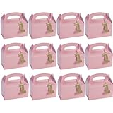 Light Pink 1st Birthday Treat Boxes with Tags (set of 12) Birthday Party Supplies