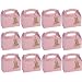 Light Pink 1st Birthday Treat Boxes with Tags (set of 12) Birthday Party Supplies