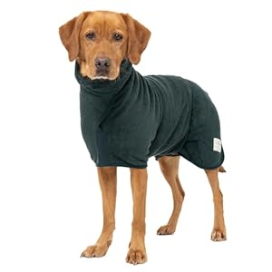 Ruff and Tumble Dog Drying Coat (Classic Collection) | Fast-Drying Dog Towel Coat & Dog Dressing Gown with Hood (DT, Forest)