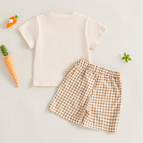 Image of Toddler Baby Boy Easter Rabbit Outfit Short Sleeve Bunny Carrot Smocked T-shirt Elastic Waist Shorts Summer Clothes