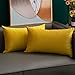 softpoint Samt Kissenbezüge Gelb 30 cm x 50 cm Weiche dekorative Kissenbezüge 12 x 20 Zoll für Couch, Bett, Sofa, 2er-Pack(Gelb,3050)