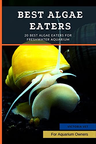 Best Algae Eaters: 20 Best Algae Eaters for Freshwater Aquarium