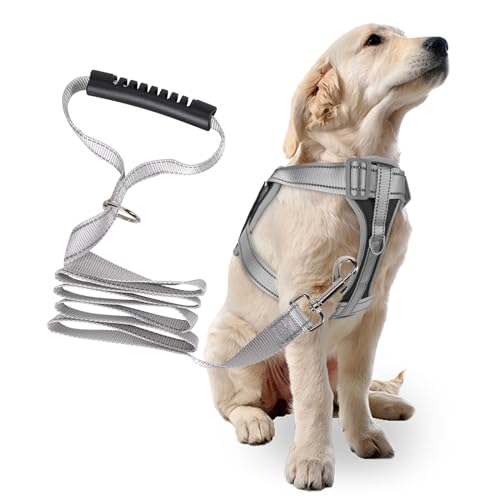 ^p̍ϋvh~pn[lXƃ[VZbg - nht˒߉\ȃg[jOxXgAIbNXtH[hnAȒPRg[(ubNATCYL)