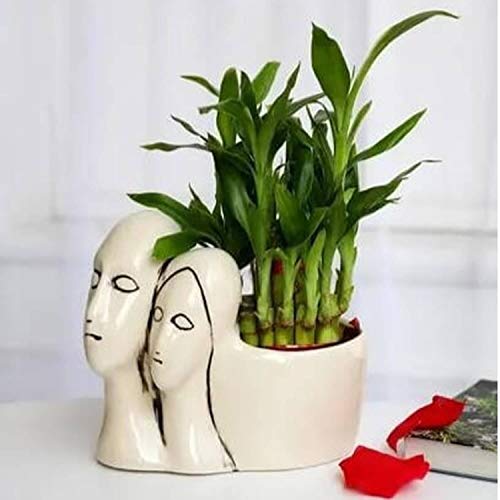 Image of Lasaki Couple Ivory Ceramic Pots for Indoor Plants, Planters, Flower, Pots, gamla, Outdoor, Balcony, Home, Garden, Office Decor, Succulent Pot(L - 16 X W - 10 X H - 14.5 cm)(Plants not Included)