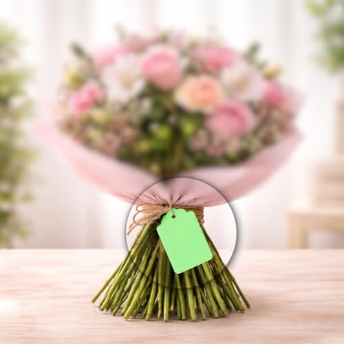 Image of CVANU 300pcs Premium Color Tag Blank Hanging with Pre-Punched Hole Tags for DIY Crafts, Gift Wrapping, Labelling & Writable Decorative Tags for All Occasions (2.85in X 1.7in) Light Green