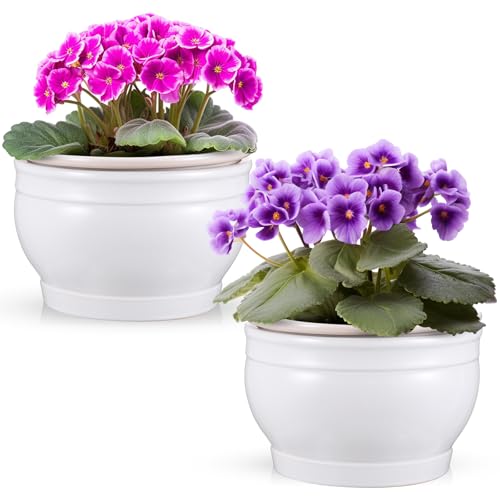 Romooa 2 Set 6 Inches African Violet Pots Ceramic Self