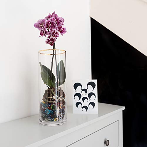 Bay & Iye, Vaso in Vetro per Fiori, Grande Vaso di...