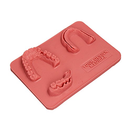 Image of Dental Suture Pad - Practice Dental Suturing and Implants on Gum /Teeth
